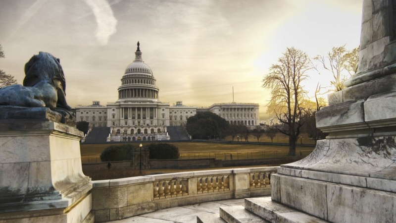 Займут сенат, но упустят Палату представителей: республиканец Дубке о промежуточных выборах в США