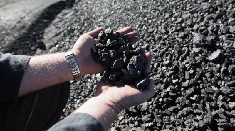 «Мы же все-таки независимая страна»: украинцы сочли унизительным требование посла США по добыче угля