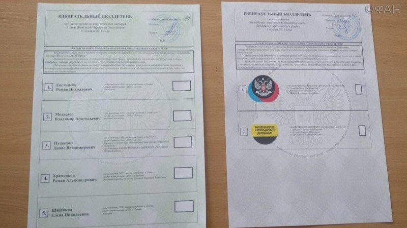 Досрочное голосование на выборах главы ДНР началось в республике