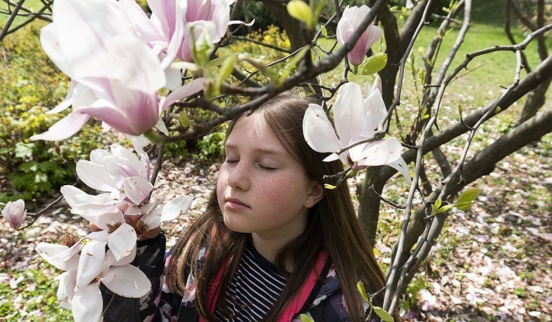 Приметы весны 2020 для детей: как определить по природе, что нас ждет весной
