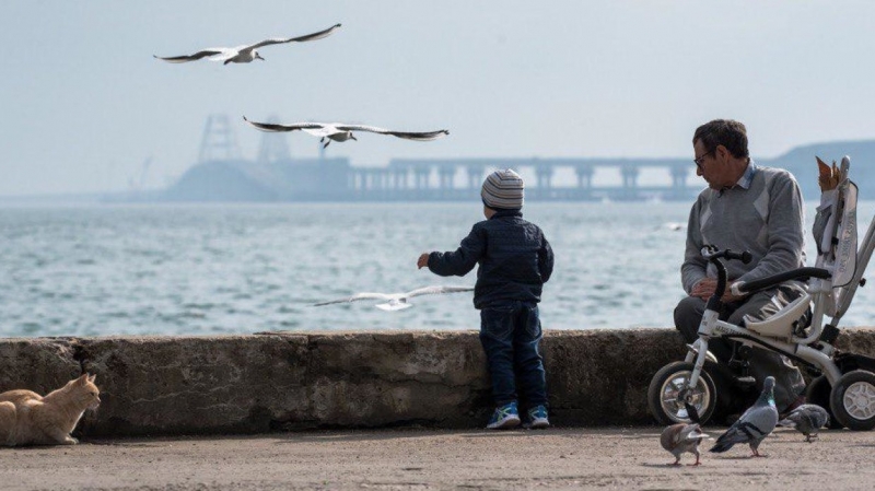 Депутат Рады обвинил Меркель в потере Крыма