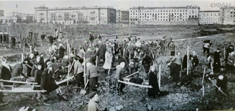 &laquo;Родные, простите нас&raquo;: потомки блокадников против Фестиваля света в Московском парке Победы