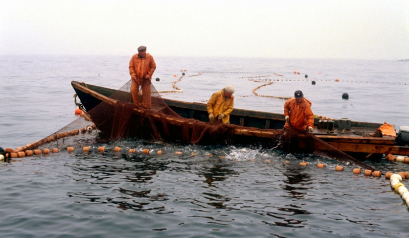 День рыболовства 2021: какого числа, история и традиции праздника