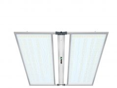 Искусственное освещение растений: ключевые аспекты для успешного выращивания