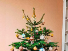 История новогодней ёлки — от древних традиций до современности