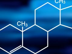 Структура и функции тестостерона: ключевой гормон в мужском организме